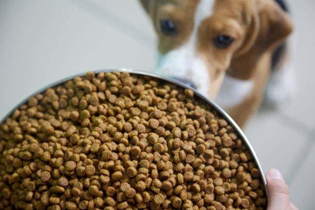 Grain-free dog food