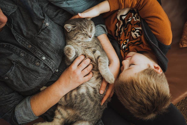 Essential Cat Care Tips for First-Time Owners