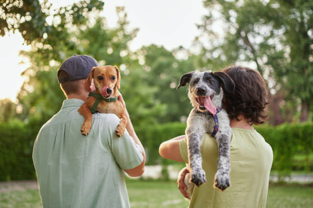 Adopting a Rescue Dog: What You Need to Know