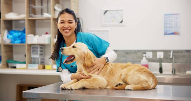 Common Health Issues in Dogs and How to Spot Them Early