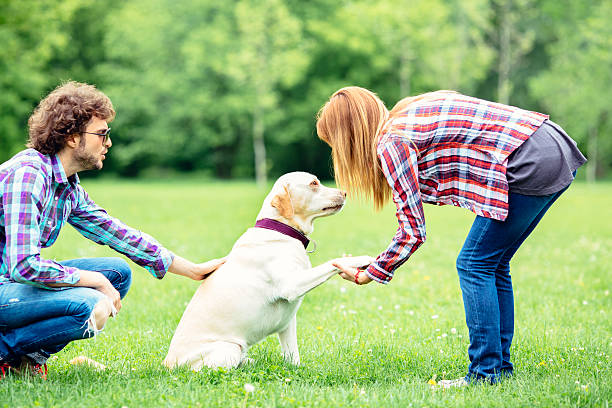 The Importance of Socializing Your Dog: A Complete Guide