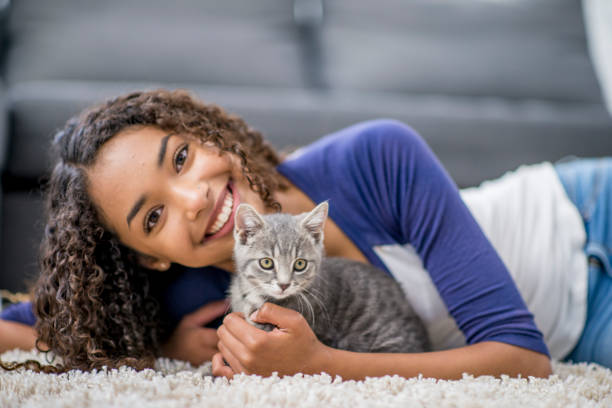 The Benefits of Adopting a Senior Cat